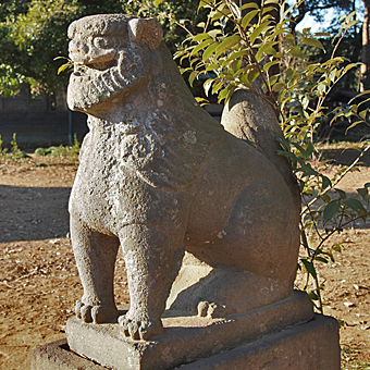 埼玉の狛犬